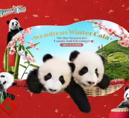 Image of 'Tis the Season for Panda-full Blessings!